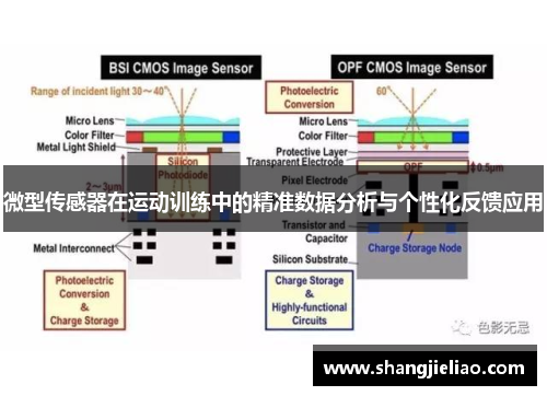 微型传感器在运动训练中的精准数据分析与个性化反馈应用