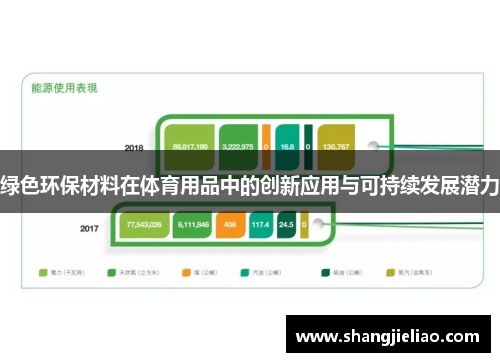 绿色环保材料在体育用品中的创新应用与可持续发展潜力